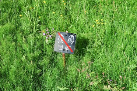 Foto de Signo de caminar en el prado prohibido para proteger a las pequeñas plantas nuevas - Imagen libre de derechos