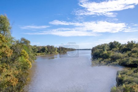Photo for View to Atchafalaya basin landscape with river Mississippi in Louisiana - Royalty Free Image