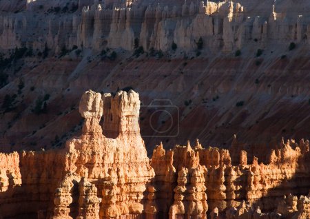 Photo for Scenic sunset at Bryce canyon with hoodos in early morning, USA - Royalty Free Image