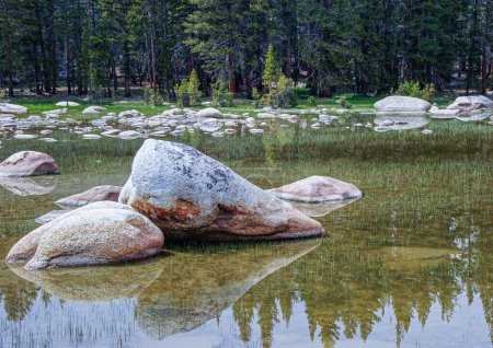 Foto de Vista panorámica al río merced con piedras en el centro en el valle de Yosemite, EE.UU. - Imagen libre de derechos