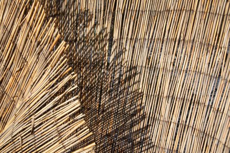 Foto de Patrón armónico de fondo de valla de bambú en luz brillante - Imagen libre de derechos