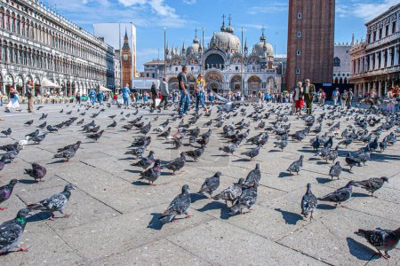 Foto de Venecia, Italia - 25 de septiembre de 2005: la gente disfruta de la plaza de San Marco en Venecia con muchas palomas en el suelo esperando ser alimentados. - Imagen libre de derechos