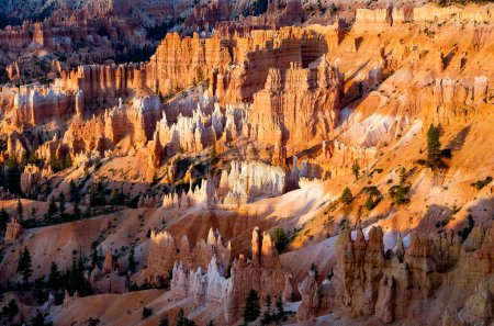 Téléchargez les photos : Vue panoramique sur les hoodoos et les rochers du canyon de Bryce - en image libre de droit