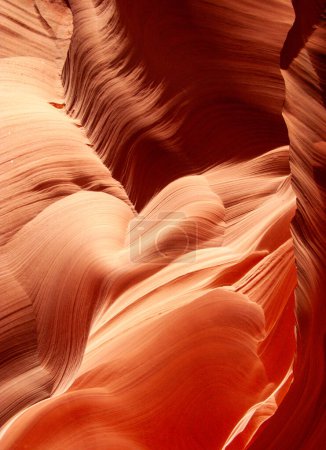 Téléchargez les photos : Antelopes Canyon près de la page, le célèbre canyon à sous dans le parc tribal Antelope Canyon Navajo - en image libre de droit