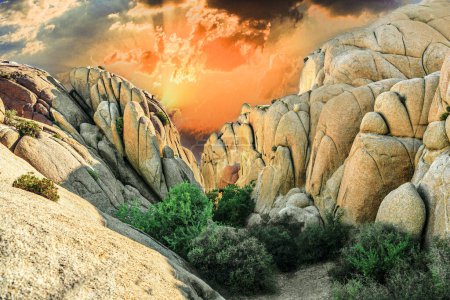 Téléchargez les photos : Scène Jumbo rock dans le parc national Joshua Tree - en image libre de droit