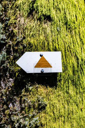 Téléchargez les photos : Panneau de sentier pédestre sur un arbre des Vosges en France sur le chemin de la montagne Hoheneck dans la forêt - en image libre de droit