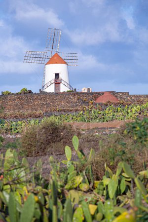 Windmill in tropical cactus garden in Guatiza village, popular attraction in Lanzarote, Canary islands
