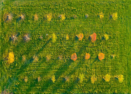 Foto de Aérea de paisaje rural escénico en otoño colores indios de verano - Imagen libre de derechos