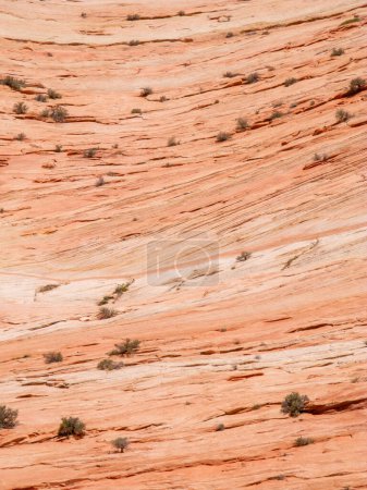 view to mountain of Mount Zion in the zion national park with its curvy natural pattern