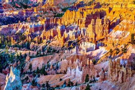 Téléchargez les photos : Beau paysage dans Bryce Canyon avec magnifique formation de pierre comme Amphithéâtre, temples, figures dans la lumière du matin - en image libre de droit