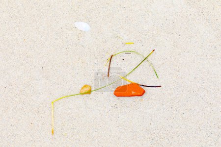 Detaillierter Hintergrund von Muscheln und Seegras am Strand, der ein Wabi Sabi Gefühl der Bildkomposition im japanischen Stil vermittelt