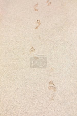 Photo for Detailed background of footprint at the fine beach sand - Royalty Free Image