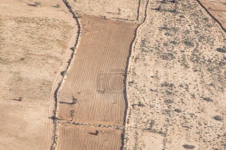 aerial of agricultural landscape in Djerba, Tunesia with dry field without irrigation