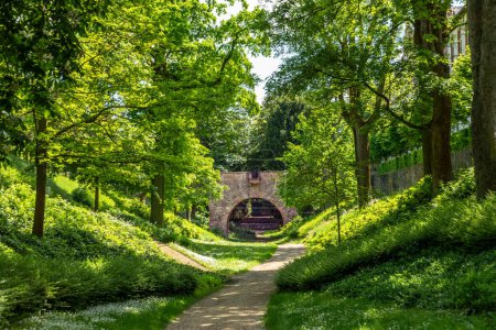 scenic castle park with green trees in Friedberg, Hesse, Germany