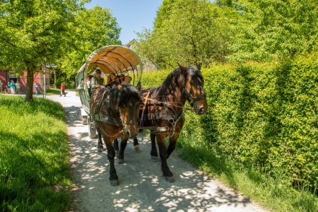 Téléchargez les photos : Detmold, Allemagne - 12 mai 2024 : les gens aiment monter à cheval dans le musée en plein air, Rhénanie du Nord Westphalie, Allemagne. - en image libre de droit