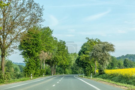 route de campagne rurale près de Detmold dans la région de la campagne Lippische dans l'humeur de printemps avec ruelle et ciel bleu