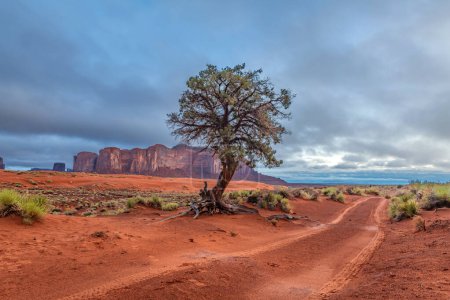 Las huellas de neumáticos en las ubicaciones remotas de Monument Valley proporcionan acceso a lugares pintorescos que no son accesibles sin contratar a un guía Navajo. 