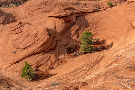 La randonnée au fond de Monument Valley montre comment l'érosion de l'eau et du vent sur des millions d'années forme des motifs complexes dans le grès tendre que l'on trouve dans tout le parc.