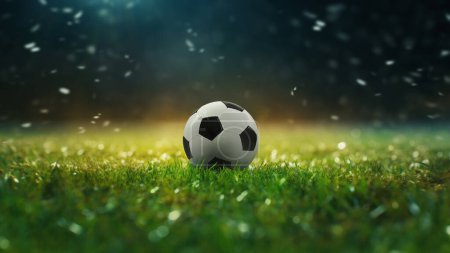 Photo for Soccer Stadium Field of soft grass, perspective view with soccer ball close-up. - Royalty Free Image