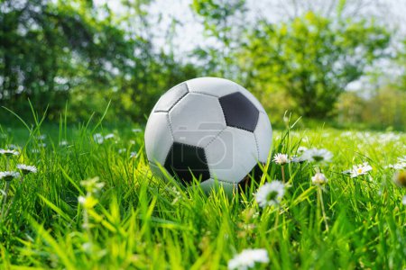 Photo for The soccer football lays on a green grass with flowers. - Royalty Free Image
