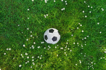  The football lays on a green grass 