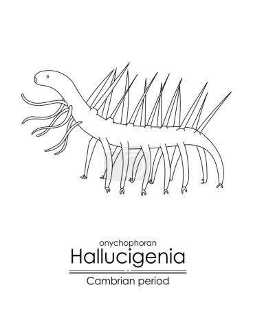 Illustration for Hallucigenia, a Cambrian period creature, black and white line art illustration. Ideal for both coloring and educational purposes - Royalty Free Image