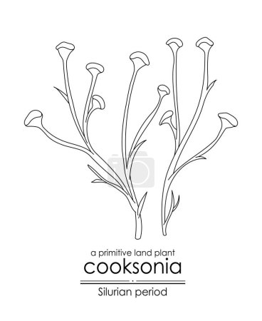 Ilustración de Cooksonia, una planta de tierra primitiva de la época silúrica, ilustración de arte en línea en blanco y negro. Ideal tanto para colorear como para fines educativos - Imagen libre de derechos