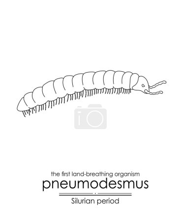 Ilustración de Pneumodesmus, el primer organismo respirador terrestre de la época silúrica, ilustración de arte en blanco y negro. Ideal tanto para colorear como para fines educativos - Imagen libre de derechos