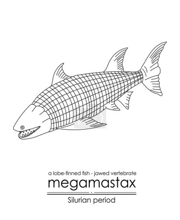 Ilustración de Megamastax, un período silúrico vertebrado con mandíbulas más grande, un pez con aletas de lóbulo, ilustración de arte en línea en blanco y negro. Ideal tanto para colorear como para fines educativos - Imagen libre de derechos