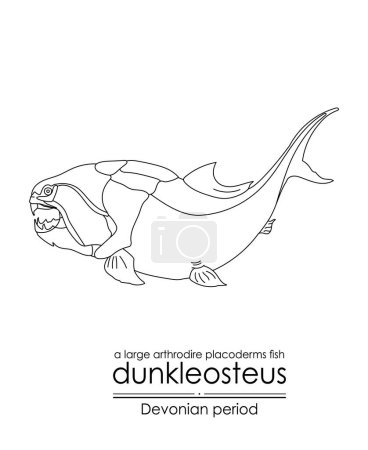 Illustration for Dunkleosteus, a Devonian period large arthrodire fish, black and white line art illustration. Ideal for both coloring and educational purposes - Royalty Free Image