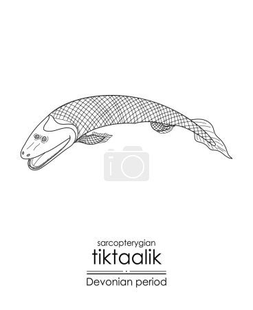 Illustration for Tiktaalik, a Devonian period sarcopterygian, an extinct fishlike aquatic animal, black and white line art illustration. Ideal for both coloring and educational purposes - Royalty Free Image