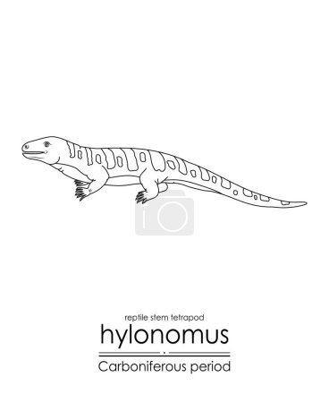 Illustration for Hylonomus, the oldest reptile (stem tetrapod) without any doubt, creature from the Carboniferous Period, black and white line art illustration. Ideal for coloring and educational purposes - Royalty Free Image
