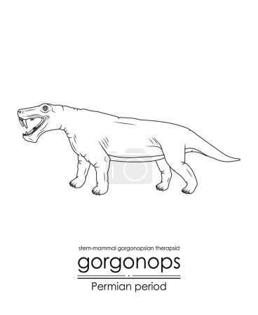Téléchargez les illustrations : Gorgonops, une période permienne préhistorique gorgonopsie de la tige-mammifère thérapeute, noir et blanc ligne art. Parfait pour la coloration et des fins éducatives - en licence libre de droit