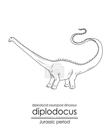 Illustration for Diplodocus, a Jurassic period diplodocid sauropod dinosaur. Herbivorous creature characterized by its long neck and tail. Black and white line art, perfect for coloring and educational purposes. - Royalty Free Image