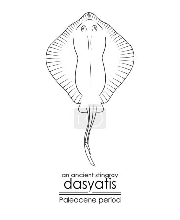 Illustration for An ancient stingray Dasyatis, a Paleocene period creature. Paleocene period followed after the extinction of the dinosaurs. Black and white line art, perfect for coloring and educational purposes. - Royalty Free Image