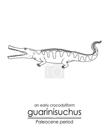Illustration for An early crocodyliform Guarinisuchus from Paleocene period. Paleocene period followed after the extinction of the dinosaurs. Black and white line art, perfect for coloring and educational purposes. - Royalty Free Image
