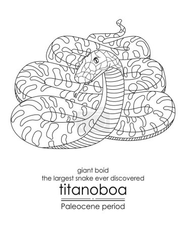 Illustration for The largest snake ever discovered, Titanoboa, a giant boid, appeared in the Paleocene period. This period followed the extinction of the dinosaurs. Black and white line art, perfect for coloring and educational purposes. - Royalty Free Image