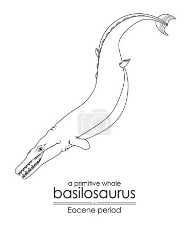 Illustration for A primitive whale Basilosaurus from Eocene period. Black and white line art, perfect for coloring and educational purposes. - Royalty Free Image