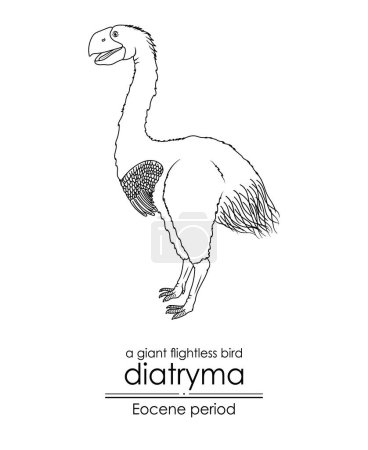 Illustration for A prehistoric giant flightless bird, Diatryma, from the Eocene period. Diatryma is classified under the genus Gastornis. Black and white line art, perfect for coloring and educational purposes. - Royalty Free Image