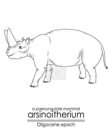 Illustration for Arsinoitherium, a paenungulate mammal from Oligocene epoch. It had large nasal horns and smaller frontal horns. Black and white line art, perfect for coloring and educational purposes. - Royalty Free Image