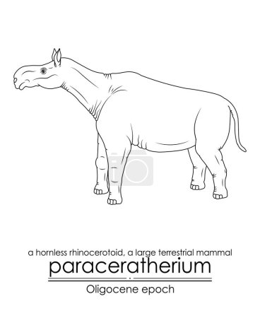 Illustration for Paraceratherium, a hornless rhinocerotoid, a large terrestrial mammal from Oligocene epoch. Black and white line art, perfect for coloring and educational purposes. - Royalty Free Image