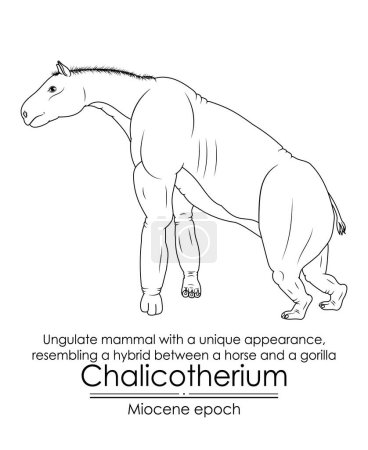 Illustration for Chalicotherium, Ungulate mammal with a unique appearance, resembling a hybrid between a horse and a gorilla from Miocene epoch. Black and white line art, perfect for coloring and educational purposes. - Royalty Free Image