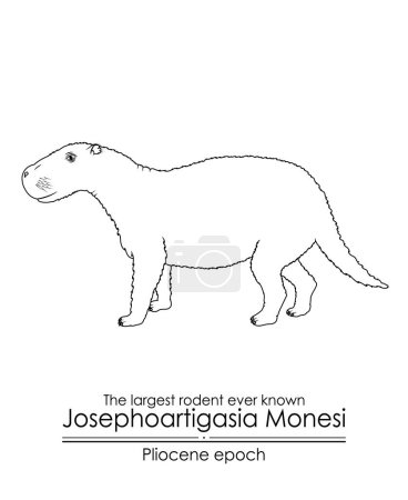 Illustration for The largest rodent ever known Josephoartigasia Monesi from Pliocene epoch. Black and white line art, perfect for coloring and educational purposes. - Royalty Free Image