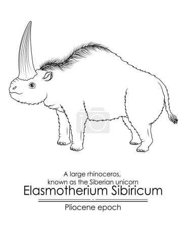 Illustration for A large rhinoceros, known as the Siberian unicorn Elasmotherium Sibiricum from Pliocene epoch. Black and white line art, perfect for coloring and educational purposes. - Royalty Free Image