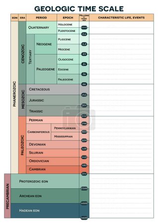 Illustration for Geologic time scale, eons, eras, periods and epochs, with blanc space for notes. Earth's history from Precambrian to Holocene, blanc space for writing charesterisctic life and events. - Royalty Free Image
