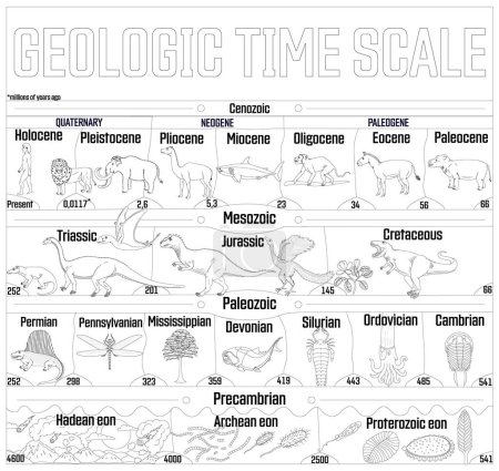 Illustration for Geologic time scale black and white line art illustration.  From Hadean to Holocene, animal evolution. - Royalty Free Image