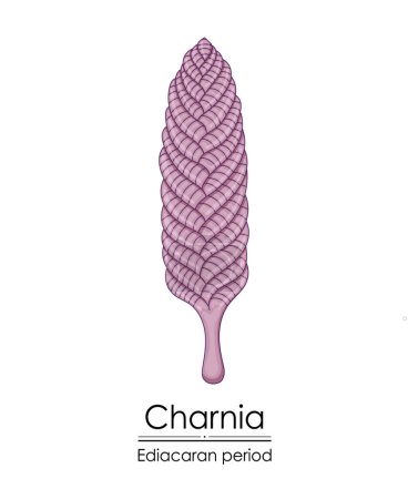 Photo for Charnia, an Ediacaran period creature, is vividly illustrated against a white background, representing early life on Earth. - Royalty Free Image