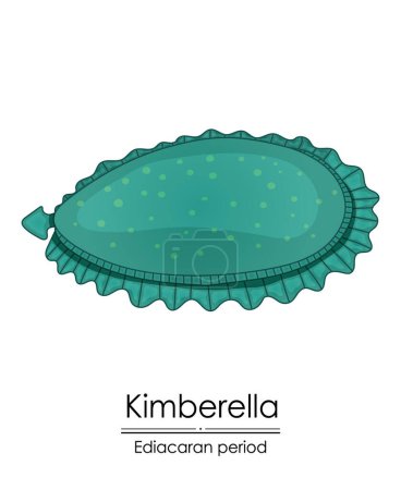 Photo for Kimberella, an Ediacaran period creature, colorful illustration on a white background, representing early life on Earth. - Royalty Free Image