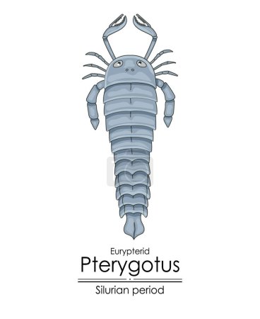 Ilustración de Pterygotus, un escorpión marino gigante de época silúrica, ilustración colorida sobre un fondo blanco - Imagen libre de derechos