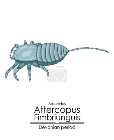 Photo for Attercopus fimbriunguis the oldest known spider, a Devonian period arachnid. Colorful illustration on a white background - Royalty Free Image